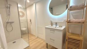 ein Badezimmer mit Dusche, Waschbecken und Spiegel in der Unterkunft Le cocon mâconnais pour deux in Mâcon