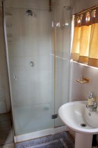 un baño con ducha y lavabo en River Ridge Log Home - Inside Dinokeng Big 5, en Klipdrift