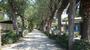 Zahrada ubytování Residence Hotel Baia del Sole