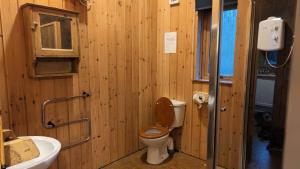 a wooden bathroom with a toilet and a sink at Bracken Lodge in Dalavich