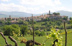 a town on a hill with a green field at Pet Friendly Apartment In Bibbiena With Wifi in Serravalle +11 photos