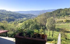 a plant in a pot on a balcony with a view at Pet Friendly Apartment In Bibbiena With Wifi in Serravalle