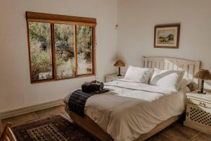 a bedroom with a bed with a bag sitting on it at Barton Luxury Villas in Botrivier +120 photos