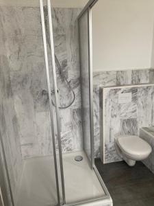a bathroom with a shower and a toilet at Gutshaus Kletzin mit Pool und Minigolf-Anlage in Siedenbrünzow