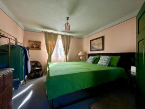 a bedroom with a green bed and a window at Dedes in Birchiş +9 photos