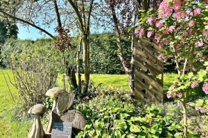 a garden with mushrooms and flowers in a field at Le Gîte d’en Bas-St Valery à 15min-Équipement bébé in Quesnoy-le-Montant
