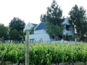 a white building behind a field of vines at Gilgal Guest Accommodation in Onder-Papegaaiberg