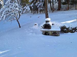 Mühlsteinhütte trong mùa đông