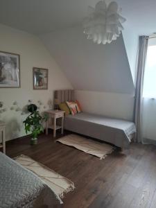 a living room with a bed and a couch at Apartamenty TUTERRA IV in Zabagnie