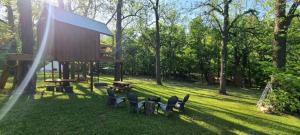 a group of chairs sitting in the grass at Tree House Glamping Destination near the Ozarks, with River Access for Swimming and Fishing in West Liberty