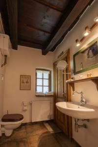 a bathroom with a toilet and a sink at Count Kálnoky's Transylvanian Guesthouses in Micloşoara