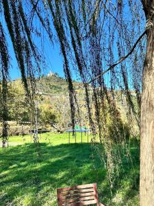 Příroda nedaleko bed and breakfast