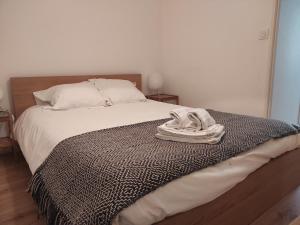 ein Bett mit einer schwarz-weißen Decke drauf in der Unterkunft Le FleuryTerre - Grand 2 pièces avec terrasse in Déville-lès-Rouen