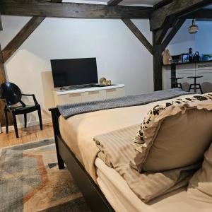 TV a/nebo společenská místnost v ubytování Krzywa Apartamenty + 34 fotografií