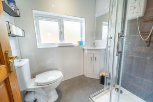 a bathroom with a white toilet and a shower at 1 Bedroom Cabin with Mountain & Loch Views - Quiet Location between Glencoe & Ben Nevis in Onich
