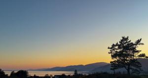 a sunset over the water with a tree in the foreground at 1 Bedroom Cabin with Mountain & Loch Views - Quiet Location between Glencoe & Ben Nevis in Onich