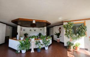 Fotografie z fotogalerie ubytování Cozy Apartment In Breuil-Cervinia With Wifi v destinaci Breuil + 13 fotografií