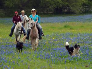 Un grupo de personas montando a caballo en un campo con un perro. en Secluded Cabin Perfect for a Romantic Getaway in Austin County, Texas, en Cat Spring 7 fotos más