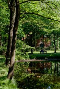 Naturlandschaft in der Nähe des Hotels