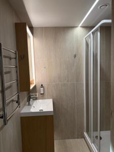 a bathroom with a sink and a shower at Miško Kortai in Menciškė +41 photos
