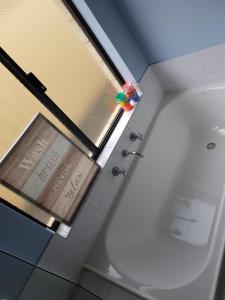 a bathroom with a shower and a window and a toilet at Sandy Toes and Sunsets Beach House in Bunbury