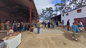 a group of people walking around an outdoor market at Birdsong Barrydale in Barrydale