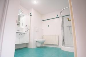 een witte badkamer met toilet en douche bij La Belle Époque Apartment in Luxemburg