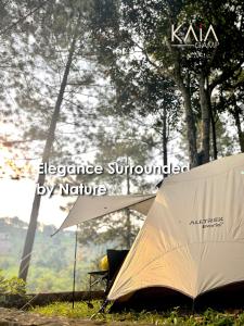 a tent sitting in the grass next to some trees at KAIA Camp by Kalimaya in Cicadas