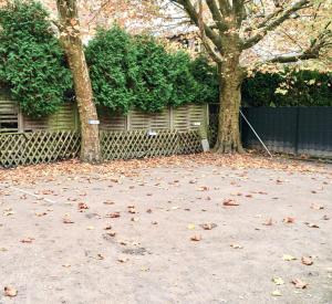 Zahrada ubytování Luxury Wohnung in zentraler Lage + 4 fotografie