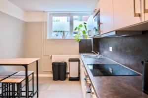 Kuchyň nebo kuchyňský kout v ubytování Luxury Wohnung in zentraler Lage