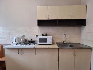 une cuisine avec un micro-ondes et un évier dans l'établissement Однокімнатна квартира на Садовому з ліжком, à Shcherbani