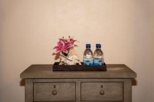 Φωτογραφία από το άλμπουμ του Turtle Cove House by Le Haus σε Matthews