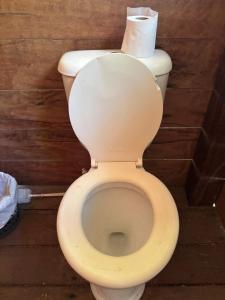 a toilet with a roll of toilet paper on top at Campo de Heliantos in Santarém