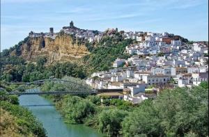 eine Stadt mit einer Brücke über einen Fluss mit Gebäuden in der Unterkunft El rinconcito de Bruno in Arcos de la Frontera