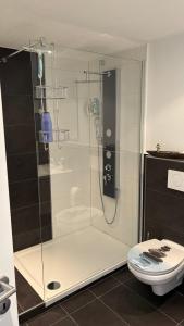 a glass shower in a bathroom with a toilet at LembergLodge Gosheim in Gosheim