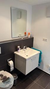 a bathroom with a sink and a mirror and a toilet at LembergLodge Gosheim in Gosheim +5 photos