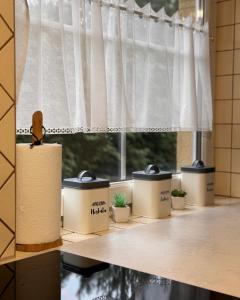 a window with a bunch of potted plants on a window sill at Domek Aga in Węgorzewo +33 photos