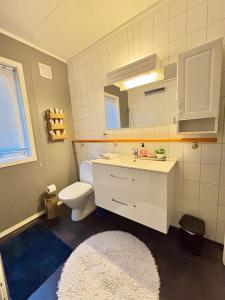 a bathroom with a sink and a toilet and a mirror at Linda`s house in Grashopen +115 photos