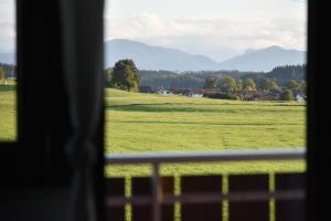 a view of a green field from a window at Ferienwohnung Osterberg in Unterthingau