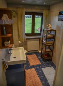 a small bathroom with a sink and a window at Ferienwohnung Osterberg in Unterthingau