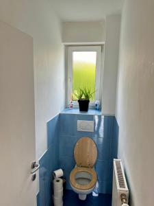 een badkamer met toilet, raam en plant bij Mountain Vista Apartment in Bled +34 foto's