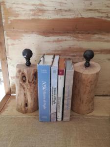 Knihovna v apartmánu