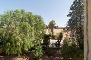 a garden with palm trees and a fence at Casina Grassi In Salento in Aradeo