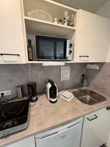 un comptoir de cuisine avec un évier et un micro-ondes dans l'établissement Modernes 1-Zimmer-Apartment im Herzen Oberkochens, à Oberkochen 5 autres photos