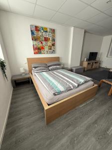 une chambre avec un grand lit dans une pièce dans l'établissement Modernes 1-Zimmer-Apartment im Herzen Oberkochens, à Oberkochen