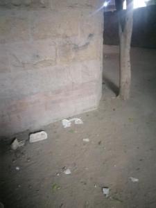 Φωτογραφία από το άλμπουμ του Fair Pyramids σε Ṭalkha