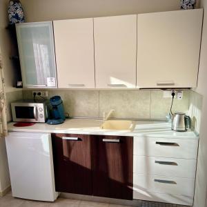 een keuken met witte kasten, een spoelbak en een magnetron bij Rooi Bij de Knoptoren B&B in Sint-Oedenrode