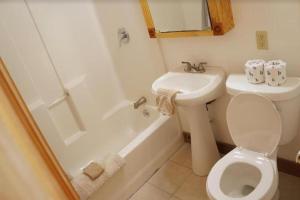 Koupelna v ubytování Spacious Cabin Rental next to Balsam Mountain in Upstate New York