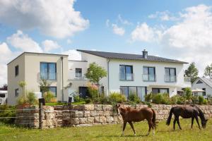 Dyr i lejligheden eller i nærheden