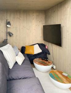 TV a/nebo společenská místnost v ubytování Relax In This Cozy Family Cabin